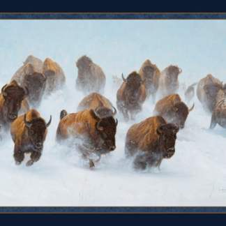 Handmade Tapestry "Silent Thunder Buffalo”