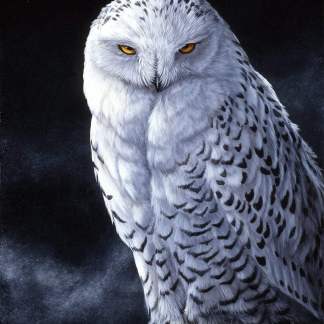 Snowy Owl Panel (35.5" x 45") Panel Fabric