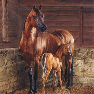 And God Created A Horse Panel (35.5" x 45") Panel Fabric