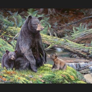 Handmade Tapestry "Bear Necessities"