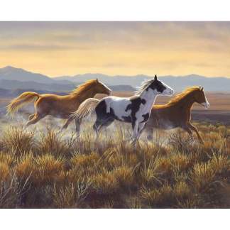 Wild Horses Open Country Cotton Panel