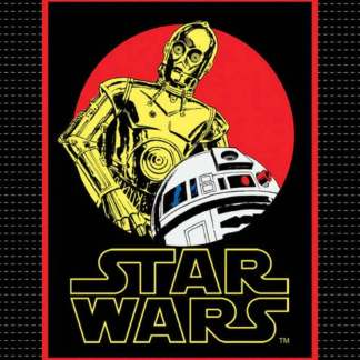 Star Wars R2D2 C3PO No Sew Blanket