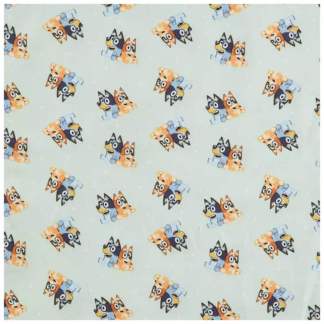 Bluey Bingo Flannel Fabric