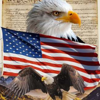 Handmade Tapestry "Eagle & Constitution 35.5" x 45”