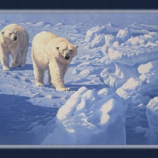 Along The Ice Floe Polar Bear Panel Cotton Fabric