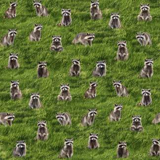 Handmade Valance or Curtain Panel The Bandits Raccoon