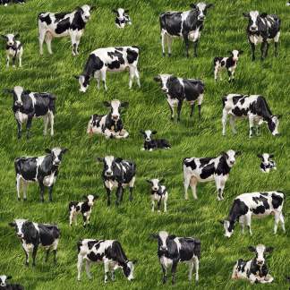 Handmade Valance or Curtain Panel Cow Party