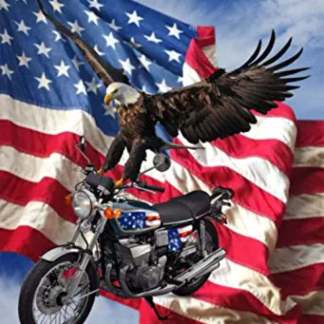 Handmade Tapestry "Biker Eagle”