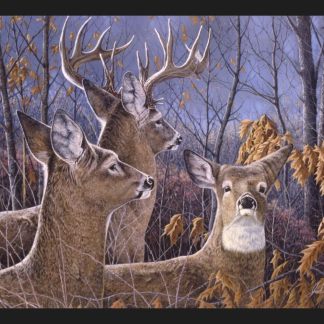 Cautious Moment Deer 45" Wide Cotton Panel Fabric