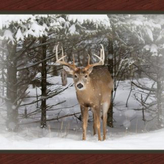 Winter Trophy Deer Panel Cotton Fabric