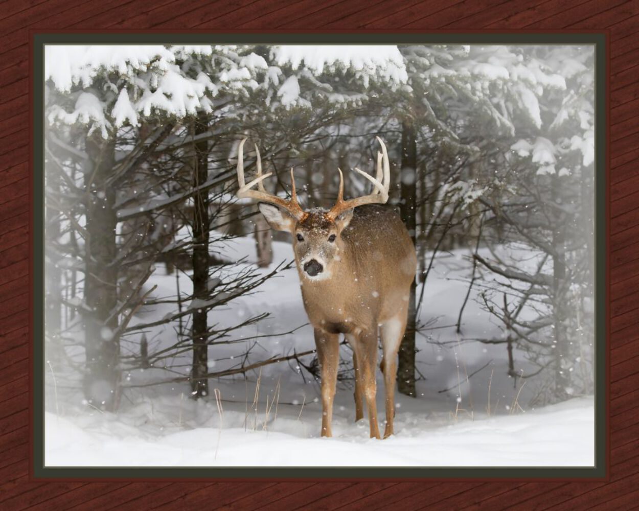 Winter Trophy Deer Panel Cotton Fabric