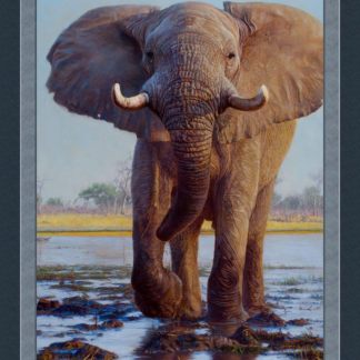 Kiongozi Elephant Panel Cotton Fabric