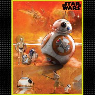 Star Wars VII Bb8 No Sew Blanket