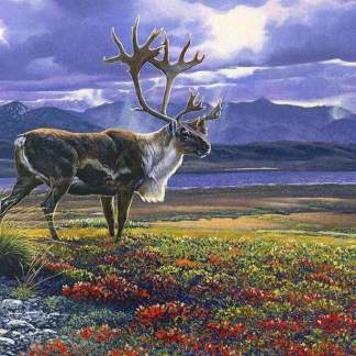 Caribou Nature’s Finest 36” Cotton Panel Fabric