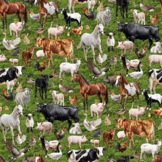 Farm Friends Grass Cotton Fabric