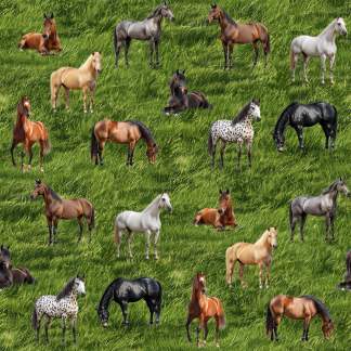 Saddle Up Horse Cotton Fabric