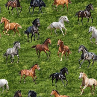 Giddy Up Horse Cotton Fabric