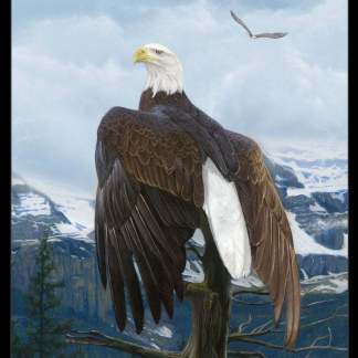 Wings of Pride Black 36" Wide Cotton Fabric Panel