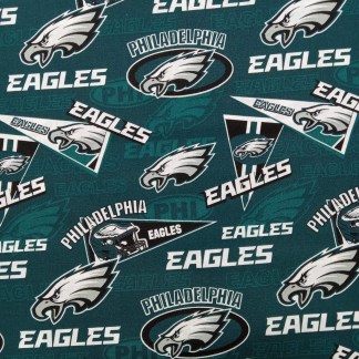 Handmade Valance or Curtain Panel Eagles Flag